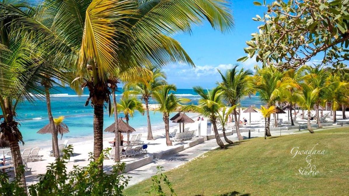 Vue Exclusive Mer Et Volcan, Village Vacances Avec Plage Et Piscine, Les Gwadastudios Sainte-Anne  Ngoại thất bức ảnh