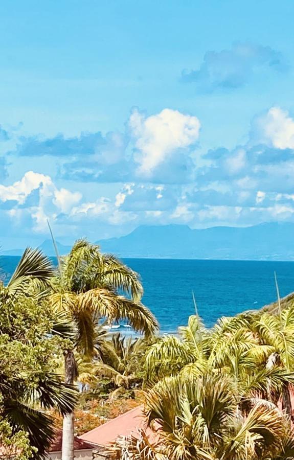 Vue Exclusive Mer Et Volcan, Village Vacances Avec Plage Et Piscine, Les Gwadastudios Sainte-Anne  Ngoại thất bức ảnh