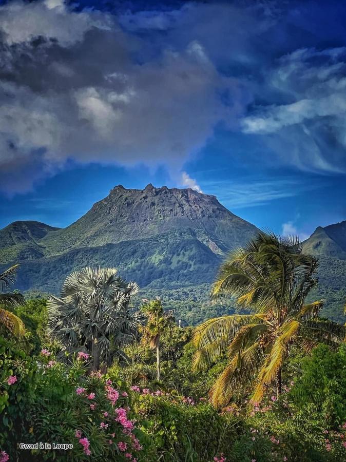 Vue Exclusive Mer Et Volcan, Village Vacances Avec Plage Et Piscine, Les Gwadastudios Sainte-Anne  Ngoại thất bức ảnh