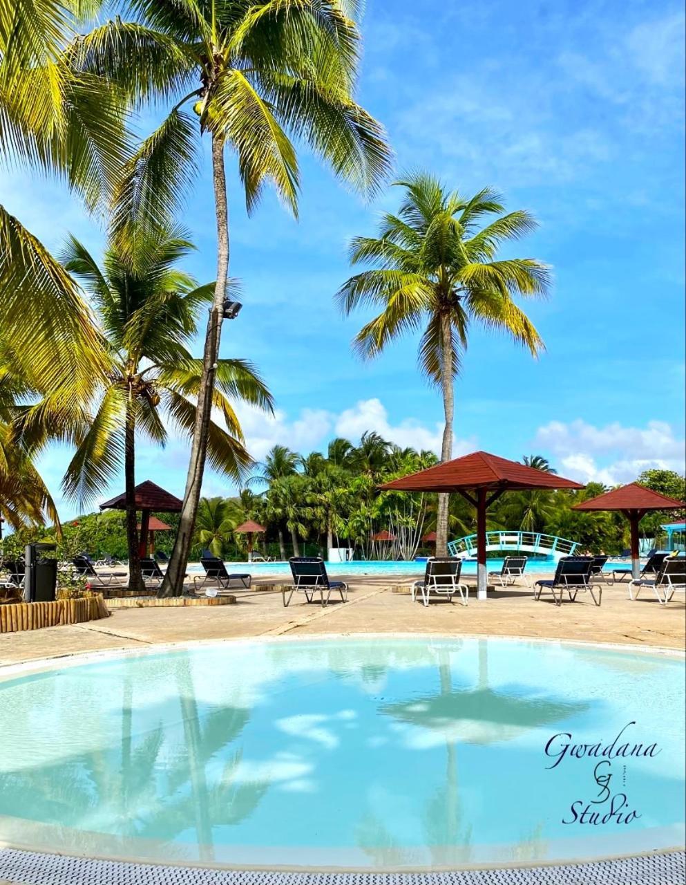 Vue Exclusive Mer Et Volcan, Village Vacances Avec Plage Et Piscine, Les Gwadastudios Sainte-Anne  Ngoại thất bức ảnh