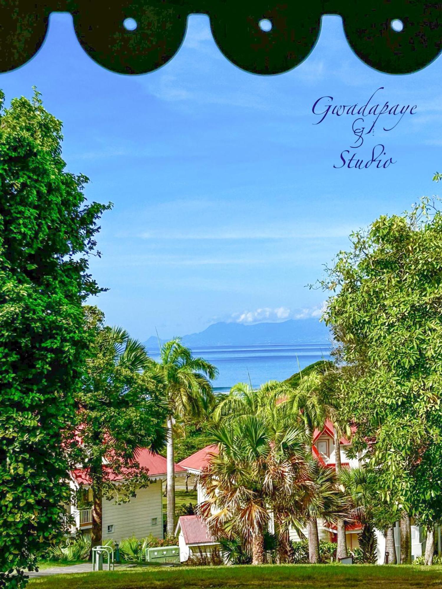 Vue Exclusive Mer Et Volcan, Village Vacances Avec Plage Et Piscine, Les Gwadastudios Sainte-Anne  Ngoại thất bức ảnh
